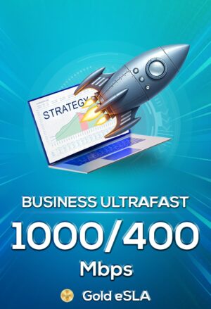 business superfast 250/100 (gold bundled)