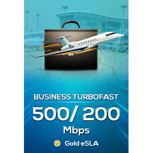 business superfast 250/100 (gold bundled)